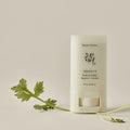 Beauty of Joseon Matte Sun Stick Mugwort + Camellia SPF50+ PA++++ 18g
