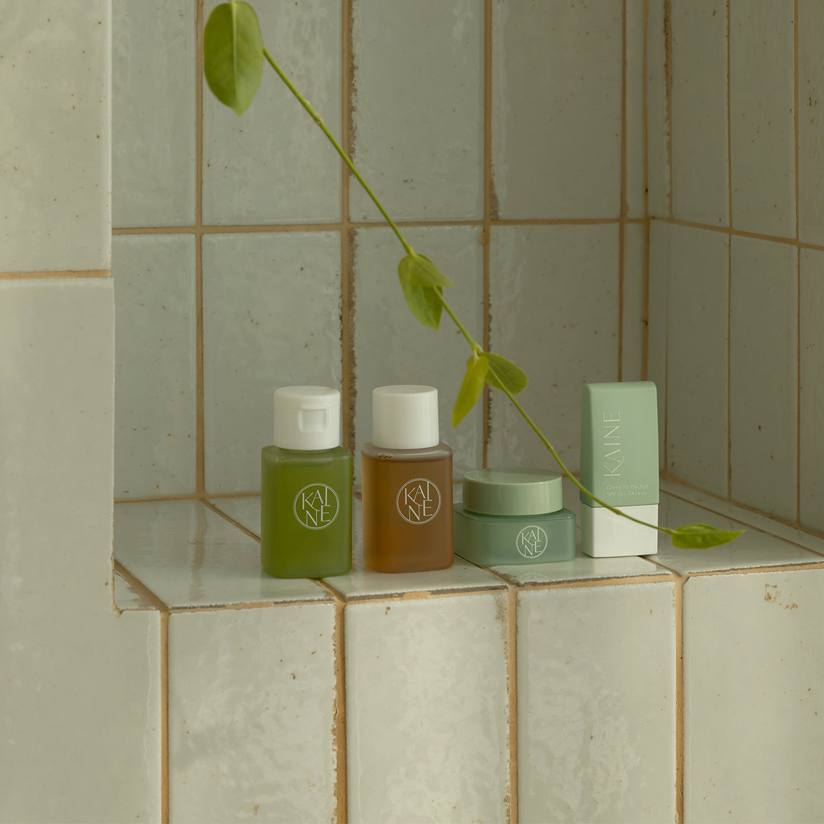 KAINE Travel Kit – 4-Step Vegan Skincare Routine — product image 3 of 7